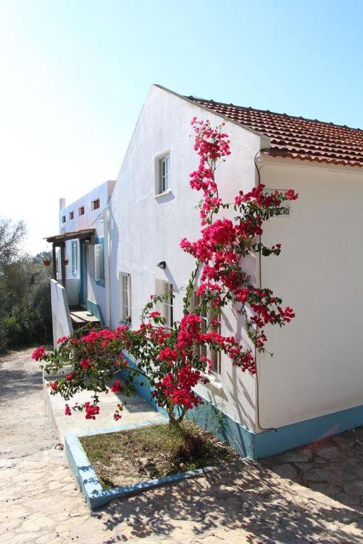 Villa Casa do avô Teixeira à Sesimbra Extérieur photo